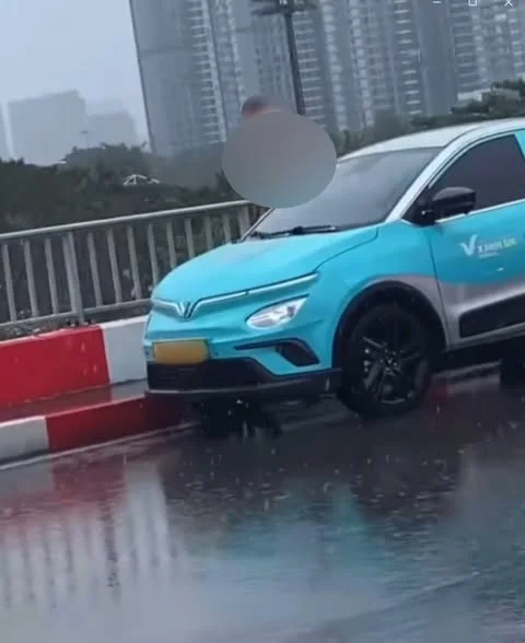 574617792-1232051992291117-8585090463108621201-n