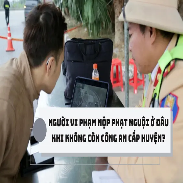 Người vi phạm nộp phạt nguội ở đâu khi không còn công an cấp huyện?