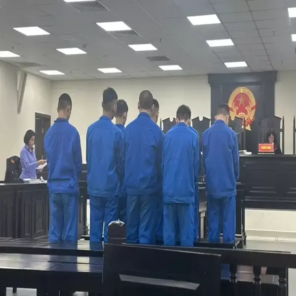 Nhóm 'trẻ trâu' chặt biển số xe không được giảm án vì cười đùa khi ra tòa