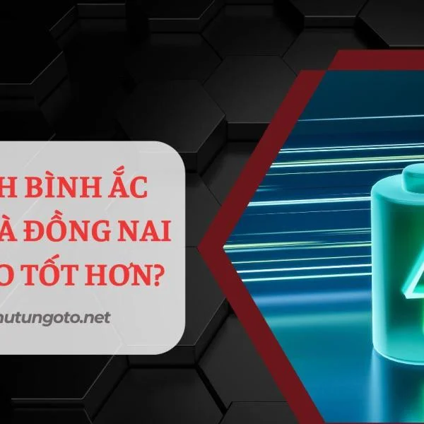 So sánh bình ắc quy GS và Đồng Nai