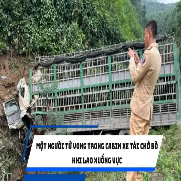 Một người tử vong trong cabin xe tải chở bò khi lao xuống vực