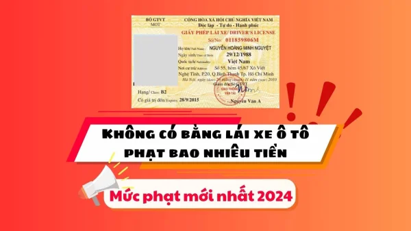 Không có bằng lái ô tô phạt bao nhiêu tiền? Mới nhất 2024