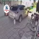 Bố ra sân lùi xe ô tô, vô tình cán qua người con gái nhỏ đang chơi ngoài sân