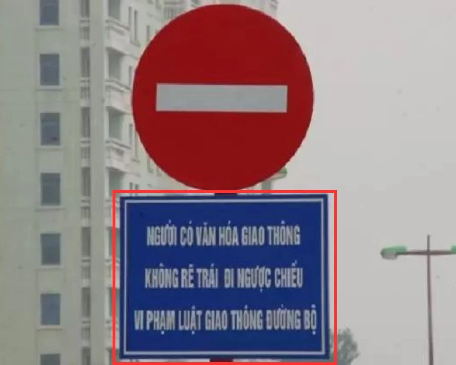 xe đi ngược 